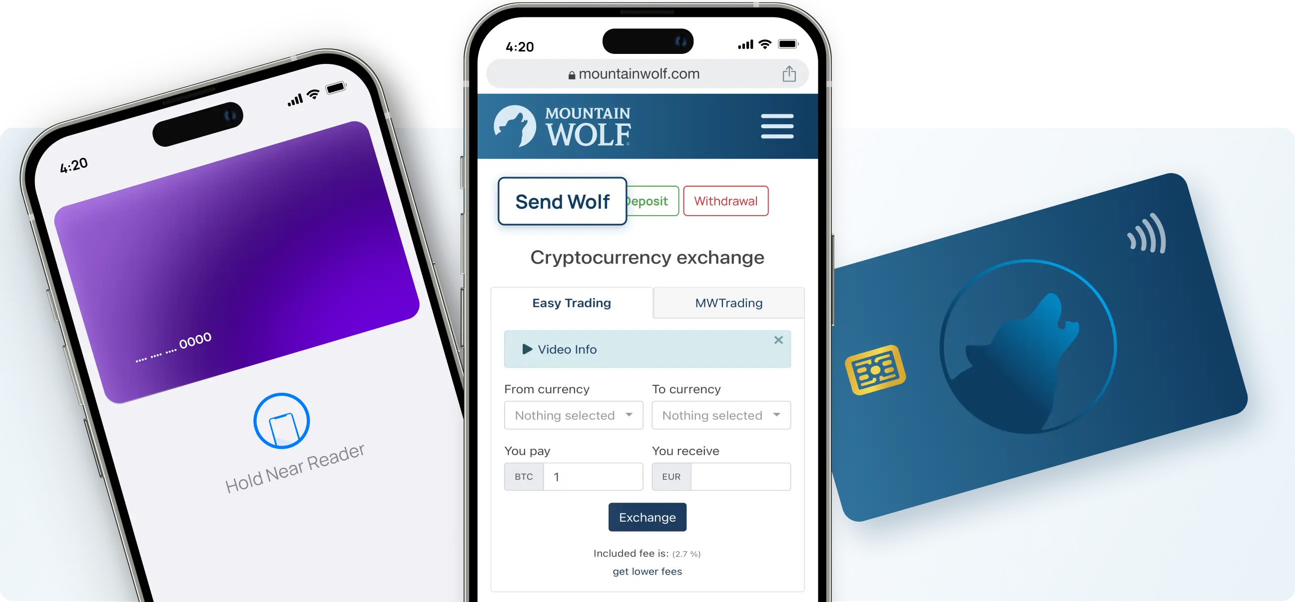 Digital Payments Graphic Mountain Wolf